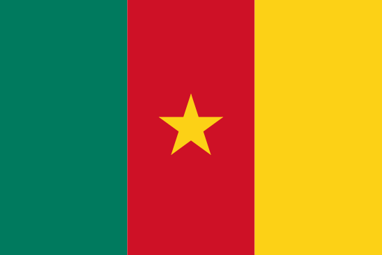 vlag van Kameroen