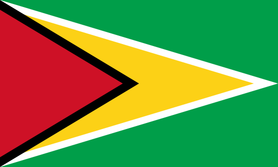 vlag van Guyana